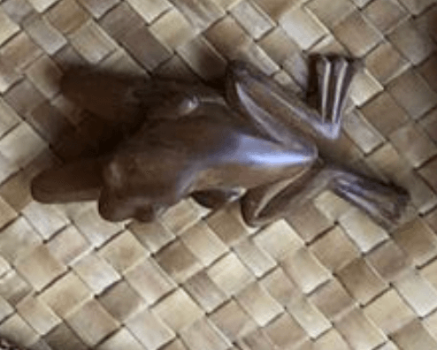 Kambo Frog Kuripé